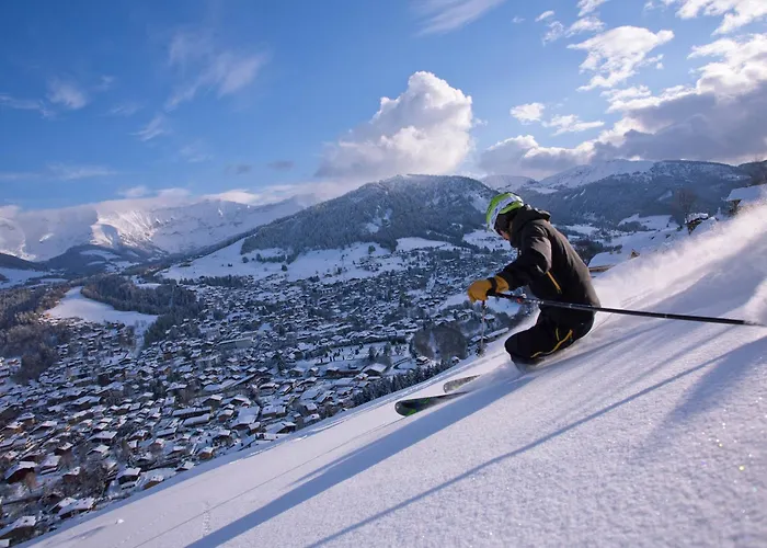 Lejlighed 2 Pieces Avec 3 Balcons Et Wifi A Centre - Fr-1-453-322